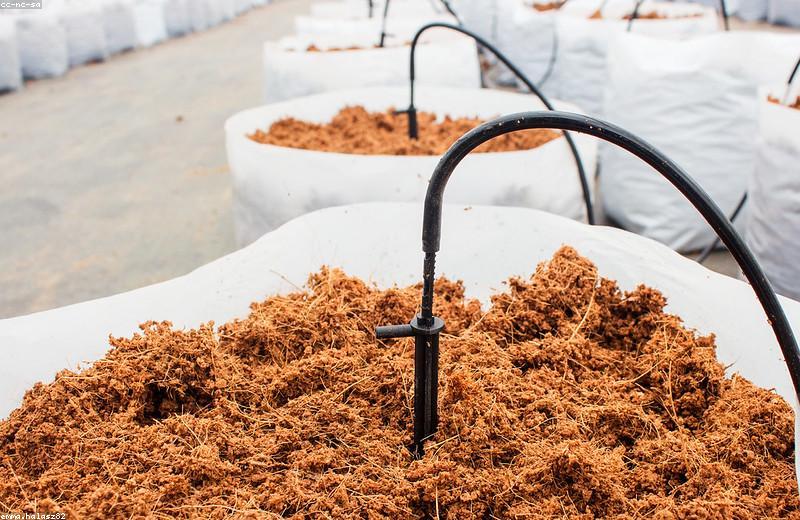 Middle East Water Tech Brief — June 2025